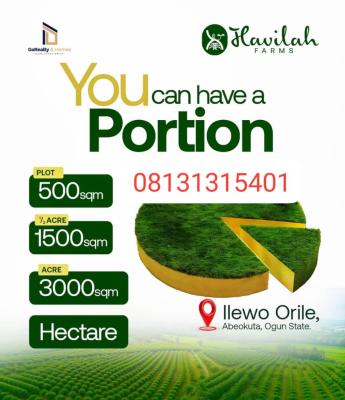 Plots and Acres of Affordable Farmland Land, Ilewo Orile, Abeokuta North, Ogun, Mixed-use Land for Sale