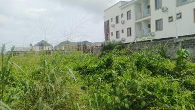 Land Measuring 500 Square Meters, Richland Estate, Shapati, Ibeju Lekki, Lagos, Residential Land for Sale