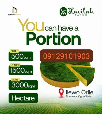 Plots and Acres of Affordable Land, Ilewo Orile, Abeokuta North, Ogun, Mixed-use Land for Sale