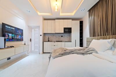 Cozy Studio Apartment Chevron, Bera Estate, Lekki Phase 2, Lekki, Lagos, Self Contain (single Rooms) Short Let
