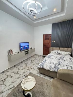 Well Maintained and Fully Furnished 2 Bedroom Terrace Duplex, Olowora, Omole Phase 2, Ikeja, Lagos, Terraced Duplex for Sale