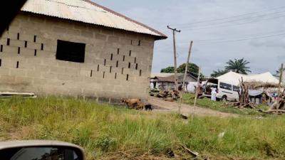 (c of O Land ) Number Ws/sl/c43 Along Lagos-calabar Coastal Road, Facing The Lagos-calabar Coastal Highway, Ode Omi, Ibeju Lekki, Lagos, Mixed-use Land for Sale