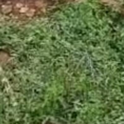 6445 Corner Piece of Land Available, Ikeja Gra, Ikeja, Lagos, Mixed-use Land for Sale
