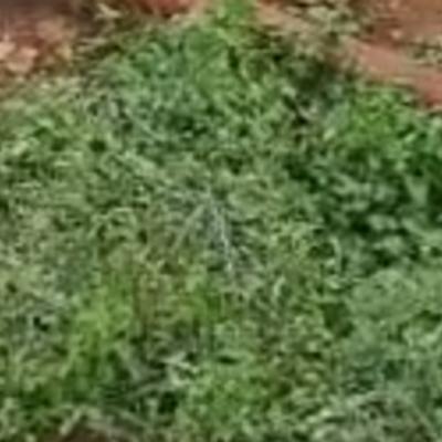 6445 Cornerpiece of Land Available, Ikeja Gra, Ikeja, Lagos, Mixed-use Land for Sale
