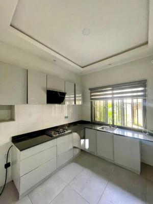 a Luxury 2bedroom Apartment with Excellent Facilities, Ikate Lekki, Ikate, Lekki, Lagos, Flat / Apartment for Rent