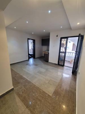 Spacious 1-bedroom Mini Flat with Extra Room, Lekki Phase 1, Lekki, Lagos, Mini Flat (room and Parlour) for Rent