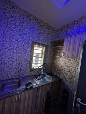 Mini Flat with Visitor Toilet in Agungi Road, Opposite John Okafor Estate, Lekki, Lagos, Mini Flat (room and Parlour) for Rent