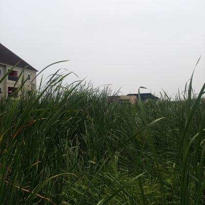 Prime 2 Plot of Land in a Call to Access Estate Along Sangotedo, Sangotedo Ajah-lekki, Sangotedo, Ajah, Lagos, Mixed-use Land for Sale