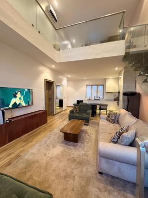 Introducing Woods a&b (there Are 2units)   Brand New Luxury 1 Bed Lo, Lekki, Lekki Phase 1, Lekki, Lagos, Detached Duplex Short Let