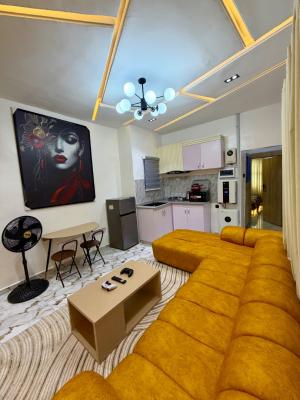 Exclusively Beautiful One Bed Apartment, Awofodu Street, Pedro, Gbagada, Lagos, Mini Flat (room and Parlour) Short Let