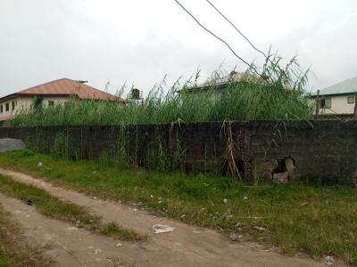 Residential Half Plot of Land for Immediate Development, Unity Estate Badore, Badore, Ajah, Lagos, Residential Land for Sale