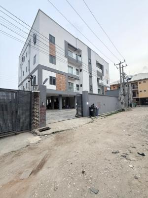 Amazing 2 Bedroom Apartment, Ikate, Lekki, Lagos, Flat / Apartment for Rent