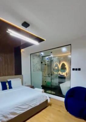 Smart Investment for Airbnb: Furnished Gem Studio Apartment, Freedom Way, Lekki Phase 1, Lekki, Lagos, Self Contain (single Rooms) for Sale
