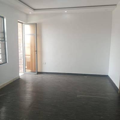 a Well Maintained  2 Bedroom Flat with a One Bed Bq, Ologolo, Lekki, Lagos, Flat / Apartment for Rent