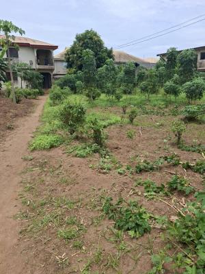 Standard 2 Plots of Land, Mercyland Estate Baruwa, Ipaja, Lagos, Residential Land for Sale