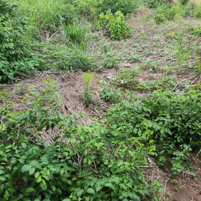 833sqm, at Kolapo Ishola Gra Phase 1, Ibadan, Oyo, Land for Sale