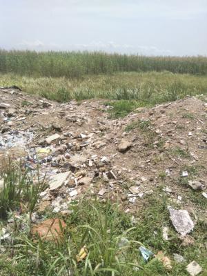 Bare Land, Lekki Foreshore, Lekki Phase 1, Lekki, Lagos, Land for Sale
