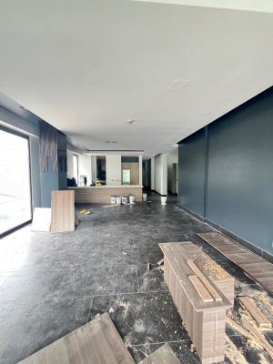 Tastefully and Luxury Built 2 Bedrooms Apartment, Ikoyi, Lagos, Flat / Apartment for Rent