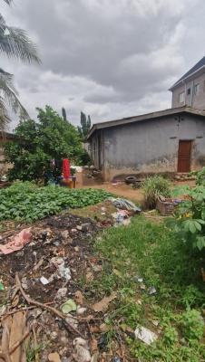 Prime Land Measuring 225sqm, Ekoro Road, Abule Egba, Agege, Lagos, Land for Sale