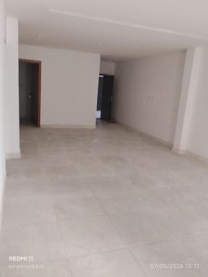 Luxury 2 Bedroom Apartment, Main Lekki Phase 1, Lekki Phase 1, Lekki, Lagos, Flat / Apartment for Rent