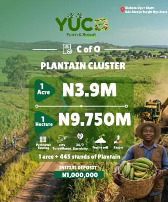 Affordable C of O Plantain Cluster Farm with High Roi, Yuca Farm & Resort in Alabata, Ogun State,ado Awaye, Iseyin, Iseyin, Oyo, Commercial Land for Sale