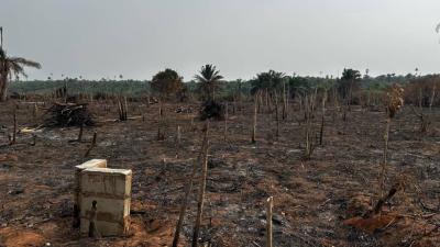 Most Demanding Estate in Prime Estate with Approved Excision, Buy and Build Alphamark Prime Estate in Okegun, Ibeju Lekki, Lagos, Mixed-use Land for Sale