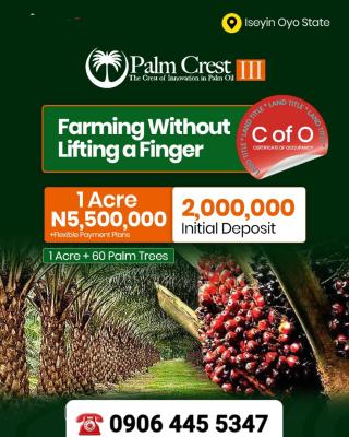 Acres & Hectares of Palm Oil Farmlands in Iseyin, Ibadan Oyo State, Palm Oil Farmlands, Iseyin, Oyo, Land for Sale