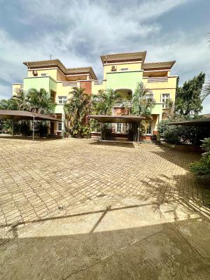 Expat-ready Fully Furnished 4br Duplex + Penthouse & Pool in Maitama, Maitama District, Maitama District, Abuja, Semi-detached Duplex for Rent