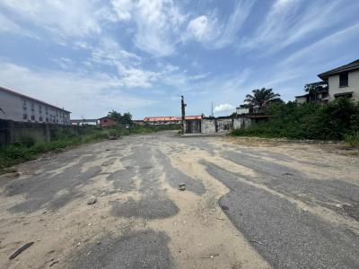 an Empty Corner Peice Land Measuring 3617sqm Fenced and Gated, in a Lo, Yaba, Lagos, Mixed-use Land for Sale