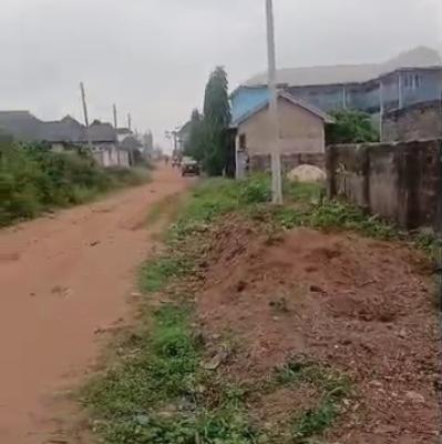 100ft By 100ft Land Title; C of O, Aruogba Community, Irihrhi Road, Airport Road Gra, Benin, Oredo, Edo, Land for Sale