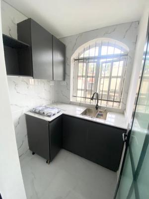 Serviced Room and Parlor, Oniru Victoria Island, Oniru, Victoria Island (vi), Lagos, Mini Flat (room and Parlour) for Rent