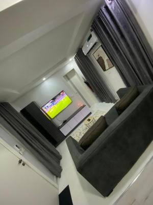 Luxury 1 Bedroom Apartment, Ikate, Lekki, Lagos, Mini Flat (room and Parlour) Short Let