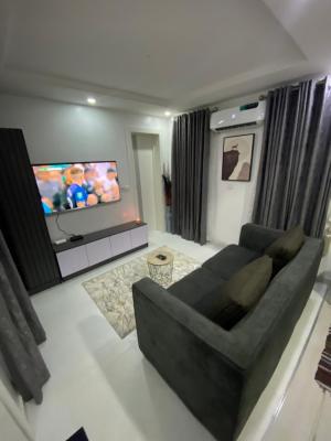 Luxury 1 Bedroom Apartment, Ikate, Lekki, Lagos, Mini Flat (room and Parlour) Short Let