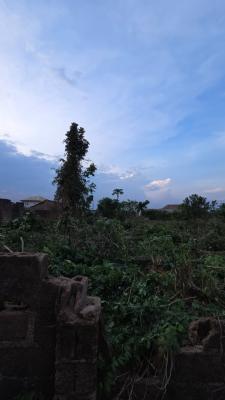 2 Plots of Residential Land, Peace Quarters, Idi - Ape, Off Akobo–olorunda Aba Road, Akobo, Ibadan, Oyo, Residential Land for Sale