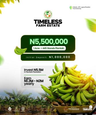 Plantain Plantation, Cocoa Plantation,palm  Tree Plantation Etc, Obafemi Owode, Ogun, Land for Sale