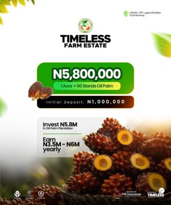 Palm Tree Plantation, Obafemi Owode, Ogun, Land for Sale