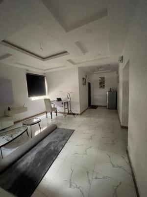 Spacious Room in a Shared 2 Bedroom Apartment, Silver Lake Estate, Ogombo, Ajah, Lagos, Flat / Apartment for Rent