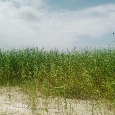 Land, Lekki Phase 1 Lagos, Lekki, Lagos, Land for Sale