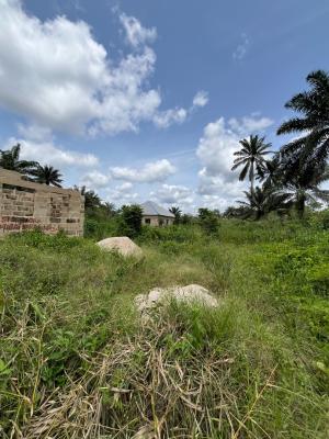 a Parcel of Land, Mbierebe, Uyo, Akwa Ibom, Mixed-use Land for Sale