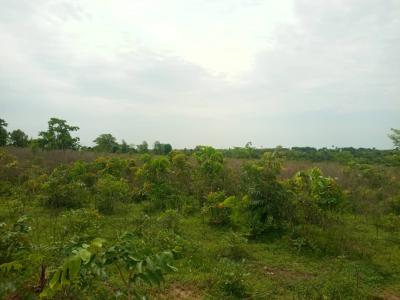 an Acres of Land for Sell, Iseyin Oyo State, Iseyin, Oyo, Mixed-use Land for Sale