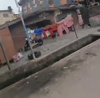 Bungalow on a More Than Half Plot of Land, Ikate, Lawanson, Surulere, Lagos, Mixed-use Land for Sale