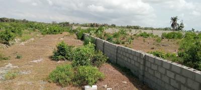 Verified C of O Land Directly Facing The Coastal Road, King Ocean View Very Close to The Shoprite, Sangotedo, Ajah, Lagos, Residential Land for Sale