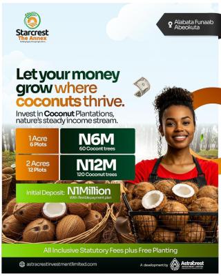 1m Buys You Land That Produces Income --- Oil Palm/coconut/plantain, The Starcrest Annex, Alabata, Funnab Axis, Abeokuta South, Ogun, Commercial Land for Sale