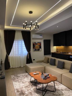 a Fully Furnished Studio Apartment with Stunning View, Adeola Close, Victoria Island (vi), Lagos, Flat / Apartment Short Let