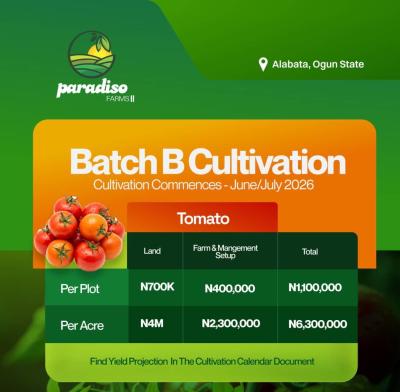 Tomato and Pepper Farm: Invest and Earn Massive Profit Every 6months., Alabata, Abeokuta North, Ogun, Commercial Land for Sale