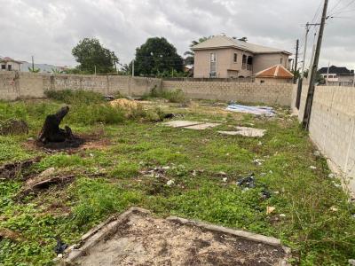 Well Dried Table Land Fenced and Gated in an Estate, Badore Road, Ajah, Badore, Ajah, Lagos, Mixed-use Land for Sale
