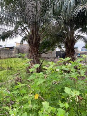 Fenced and Gated Land with 4 Rolls of Shops, Badore Road, Badore, Ajah, Lagos, Mixed-use Land for Sale