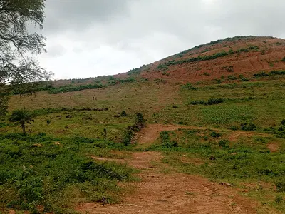1000SQM Estate Residential Land with R of O — Estora Residence, Before Galuyi Secondary School, Maitama 2, Maitama District, Abuja