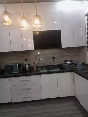 Luxury 4 Bedroom Semi Detached Duplex, Off Freedom Way, Lekki, Lagos, Semi-detached Duplex for Rent