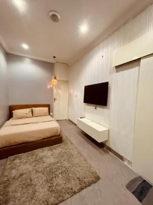 Luxurious 2 Bedroom Apartment., Ikate, Lekki, Lagos, Flat / Apartment for Rent